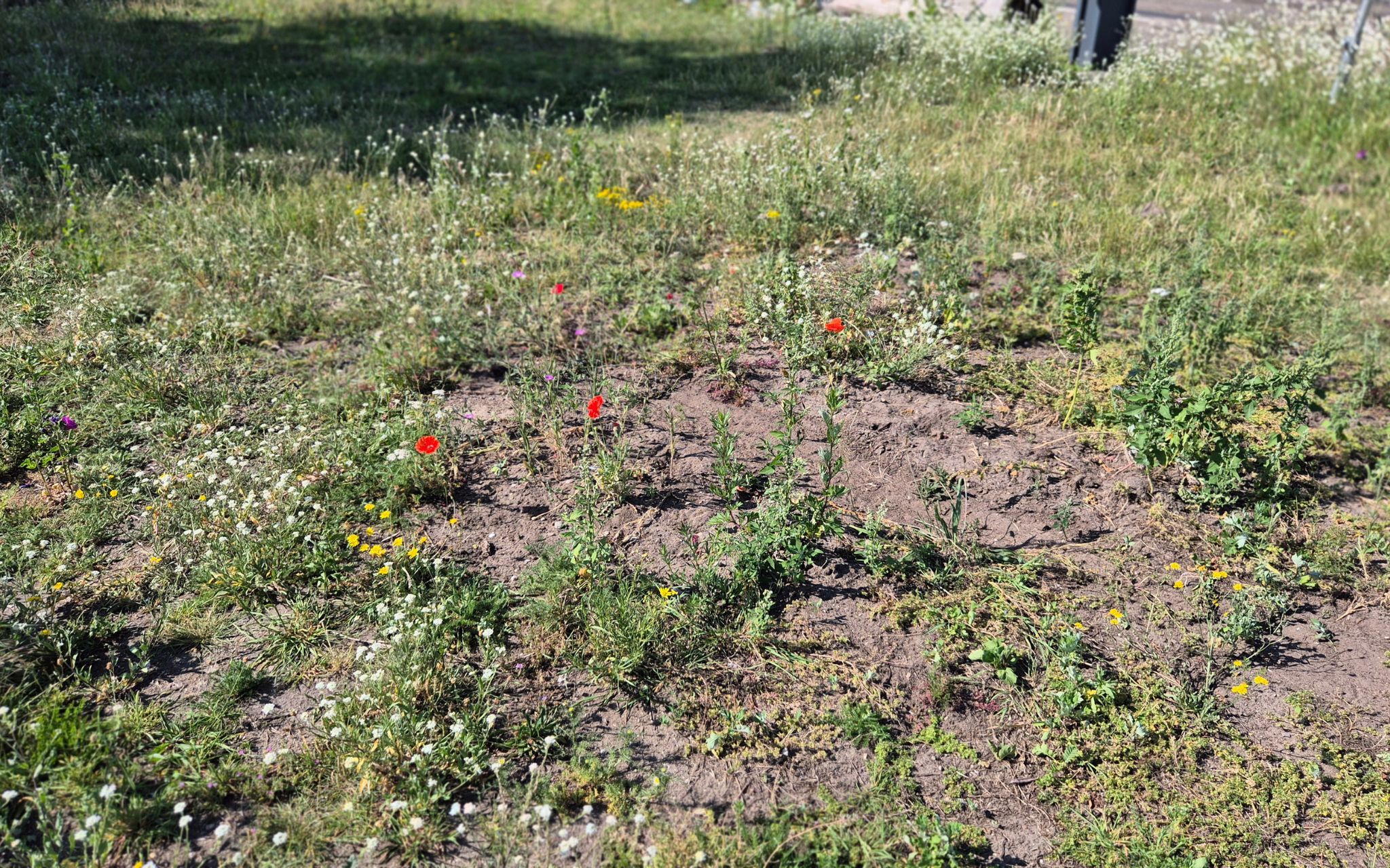 27/11/2025 Beeldverslag 2025 2