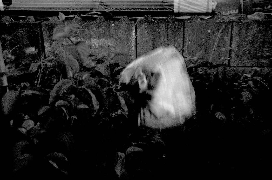 Expodium Nightwalk_5.jpg