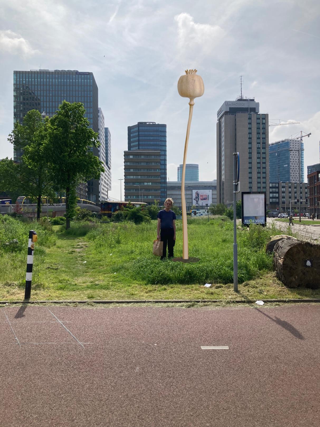 Poppy Seed[57]_Marij_Nielen.jpg