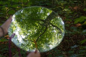 03/03/2026 Eva Bullensworkshop2.jpg