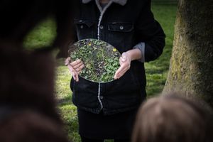 23/8/2026 Park Transwijk Eva Bullens derde workshop.jpg